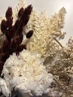 Frida´s Favorite - Mix & Match