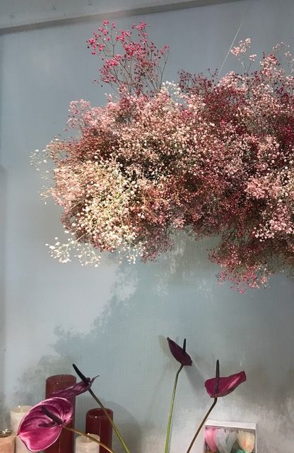 Trockenblumen brauchen Pflege