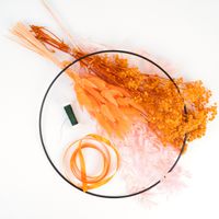 Caspar´s Choice - Mix & Match