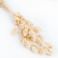 Milla´s Magie - Mix & Match