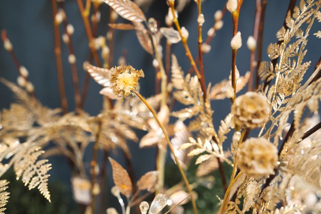 Weihnachtsfeier mal anders: Grüße aus der Community!