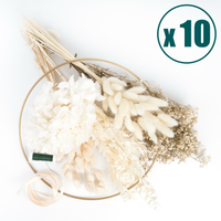 Frida´s Favorite 10 Packages