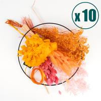 Caspar´s Choice 10 Packages