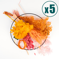 Caspar´s Choice 5 Packages