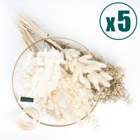 Frida´s Favorite 5 Packages